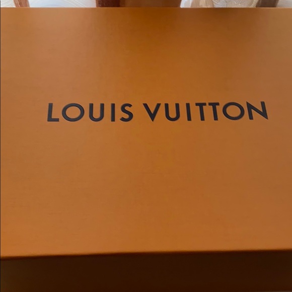Louis Vuitton Sneakers
